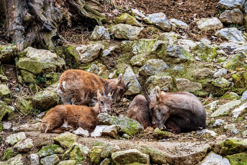 Sign #3: Capricorn - The One Who Finally Rewrites the Family Script (Image Credits: Pexels)