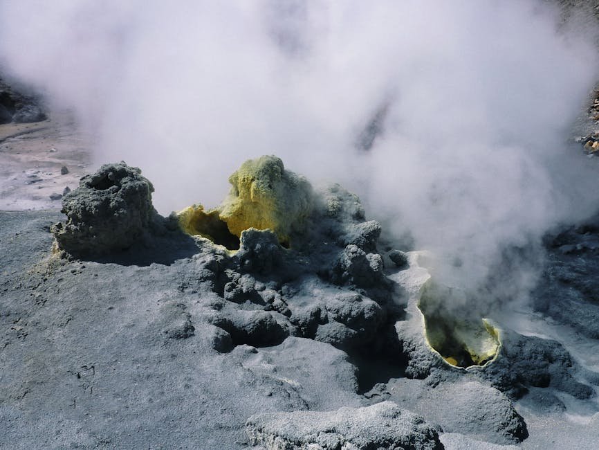 The Hunt for "Biological Heat": What the Robot Is Actually Looking For (Image Credits: Pexels)