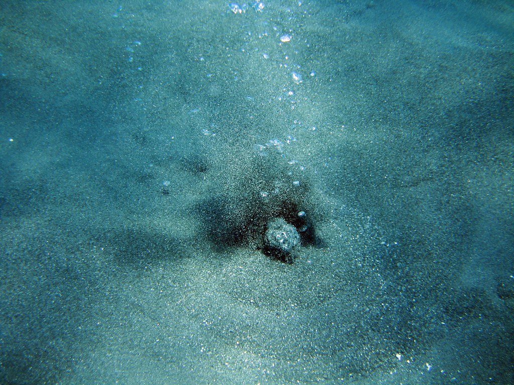 Why This Matters More Than Almost Anything Else in Science Right Now (robanhk, Flickr, CC BY-SA 2.0)