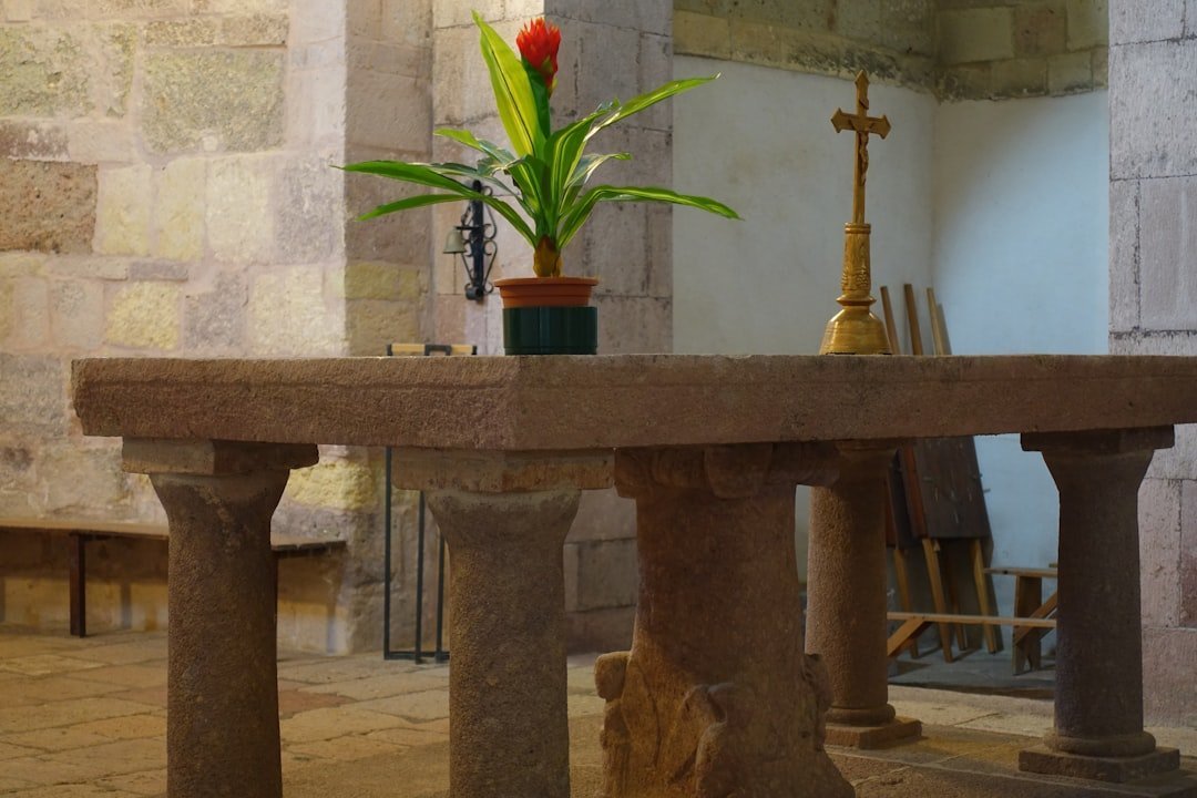 The Offerings Table - Feeding a Soul Across Dimensions (Image Credits: Unsplash)