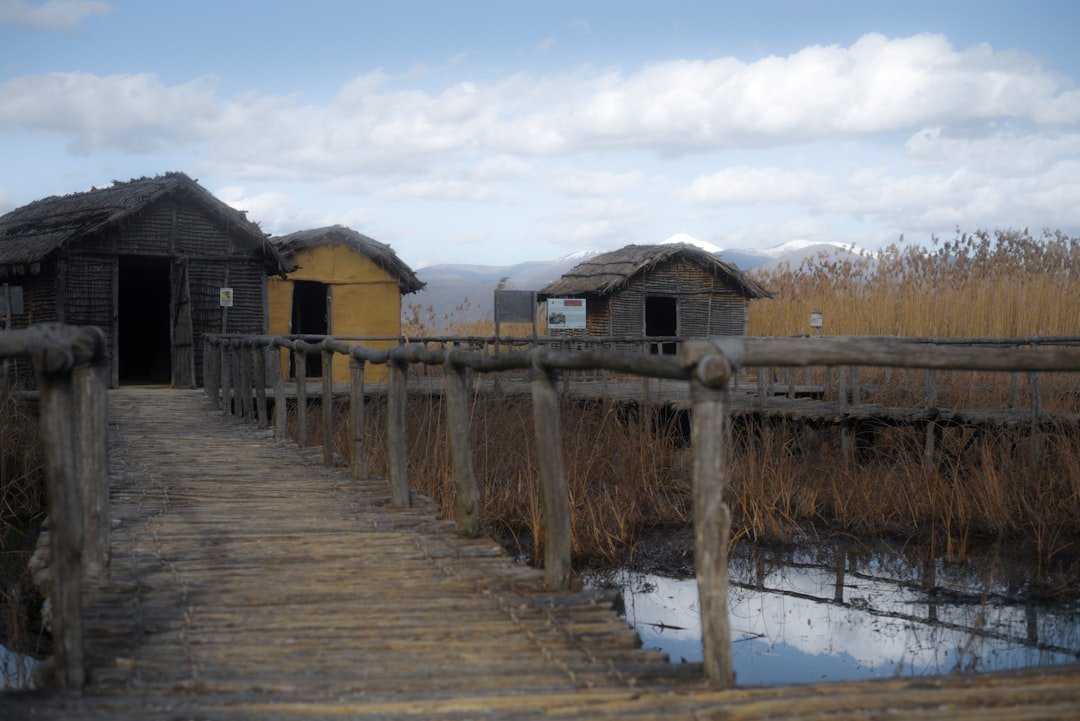 Urban Planning Without Urban Planners (Image Credits: Unsplash)