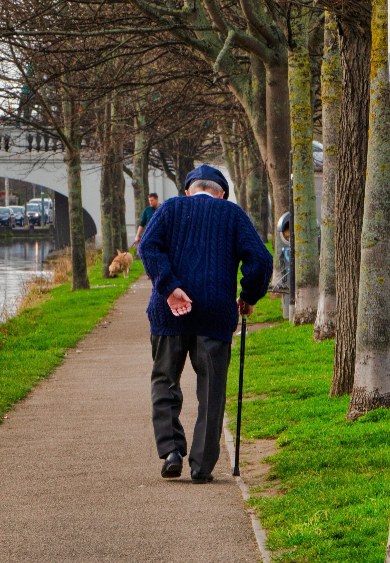 Natural Movement Before the Day Begins (By William Murphy, CC BY-SA 2.0)