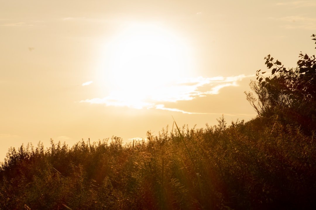 Conclusion (Image Credits: Unsplash)