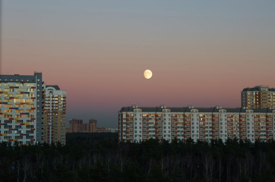China, Russia and the Competing Lunar Vision (Image Credits: Pexels)