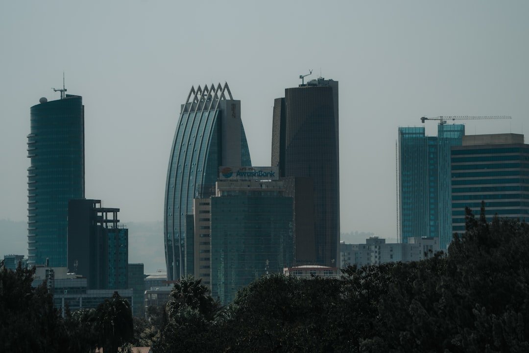 What the Future Market Looks Like (Image Credits: Unsplash)