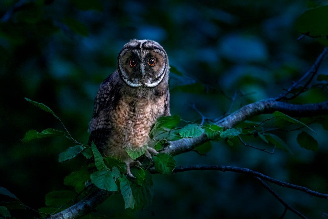 Night Owls: How Exercise Can Reset a Misaligned Clock (Image Credits: Unsplash)
