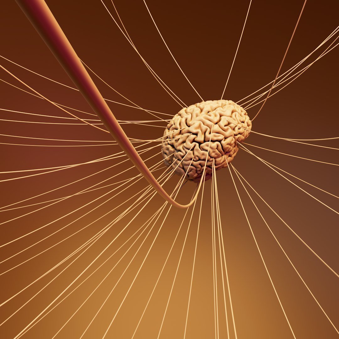 Neuroplasticity: The Biological Engine of Change (Image Credits: Unsplash)