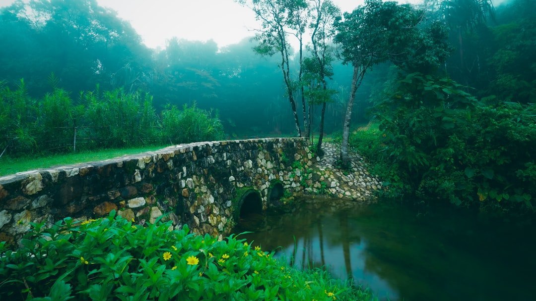 Creative Potential Hidden Inside the Fog (Image Credits: Unsplash)