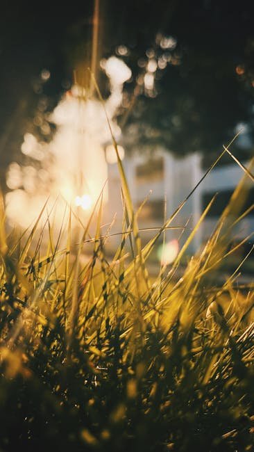 Sleep Quality Starts at Sunrise, Not at Bedtime (Image Credits: Pexels)