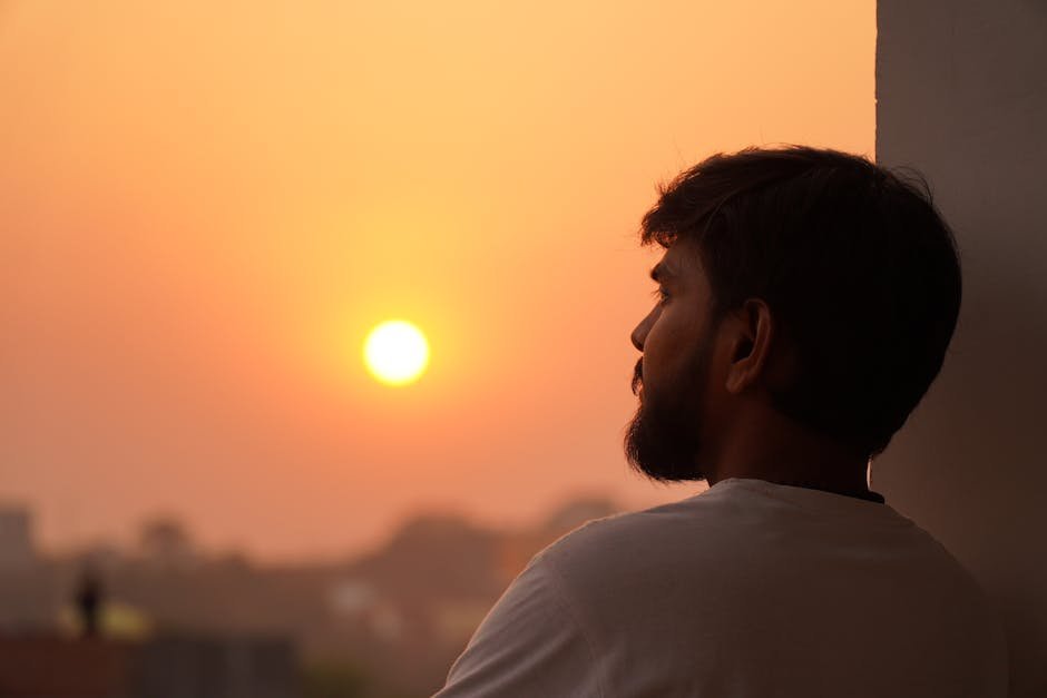 Light and the Body's Peripheral Clocks (Image Credits: Pexels)