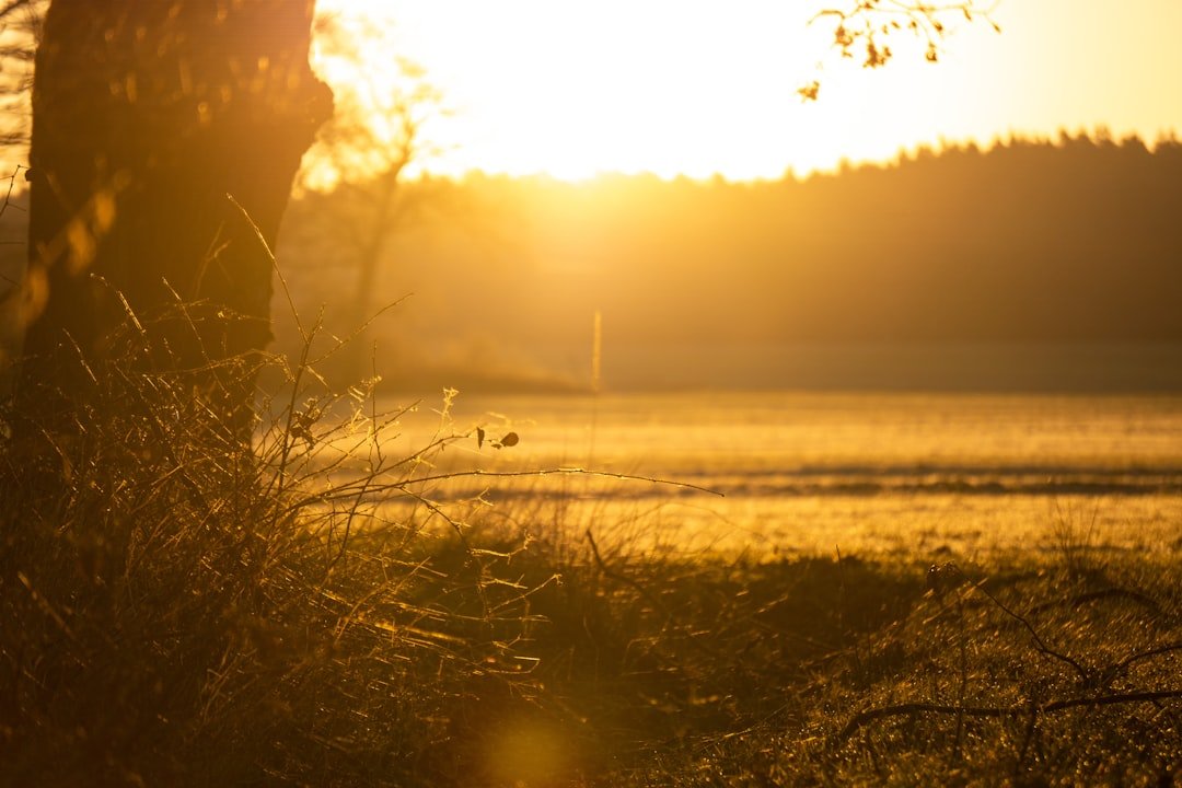 Conclusion (Image Credits: Unsplash)