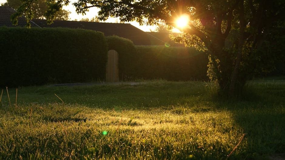 Circadian Biology: Why Looking at the Sunrise Is the Most Productive Thing You Can Do