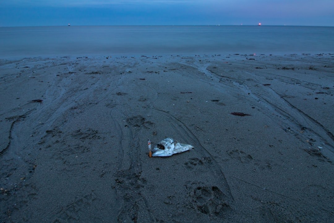 With renewed interest in going to the Moon, how will future trash be dealt with?