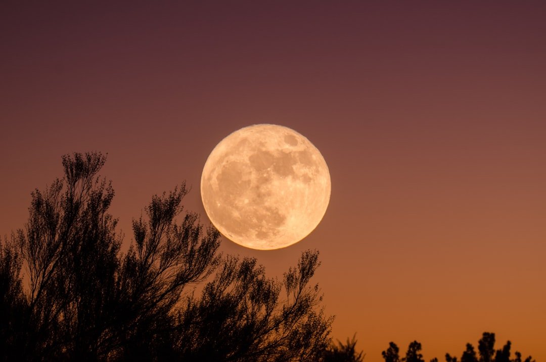 2026 Full Moon calendar: When to see the Full Moon and phases