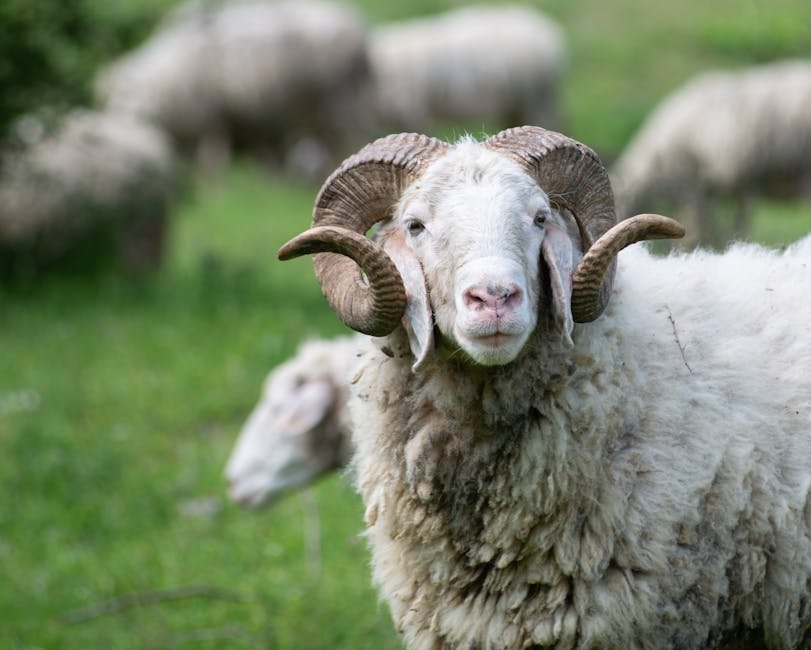 How Saturn in Aries Specifically Tests Career Structures (Image Credits: Pexels)