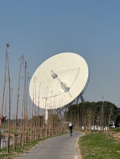 Why BLC1 Still Matters, Even as a False Alarm (Image Credits: Pexels)