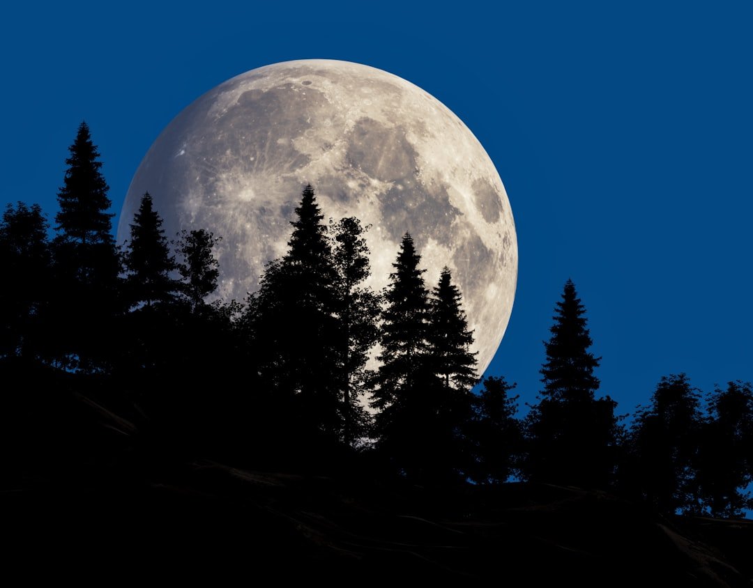 2026 Full Moon calendar: When to see the Full Moon and phases