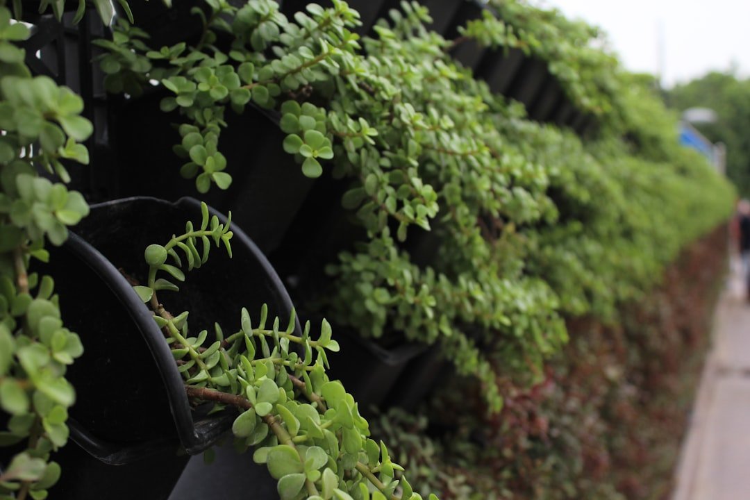 The Yield Advantage Over Traditional Gardening (Image Credits: Unsplash)