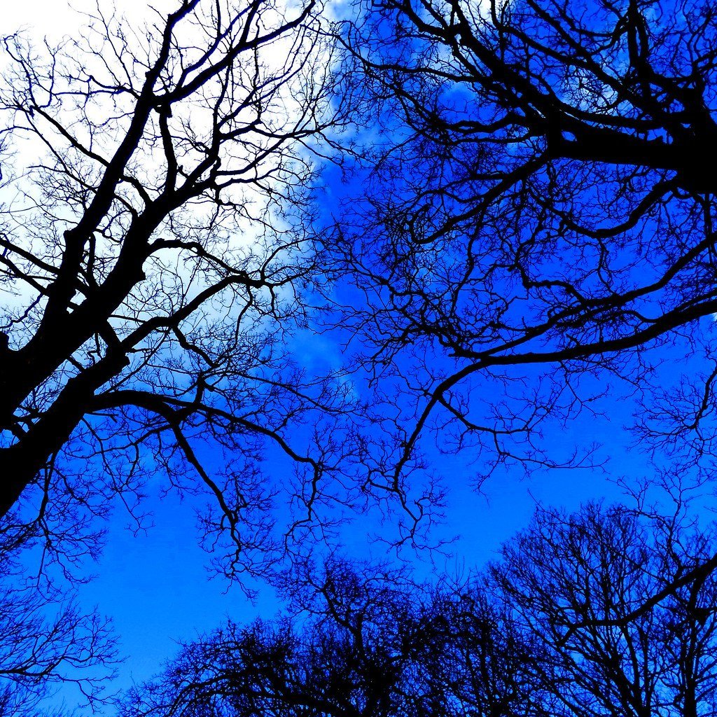 Health, Pesticides, and Food Quality (Leshaines123, Flickr, CC BY 2.0)