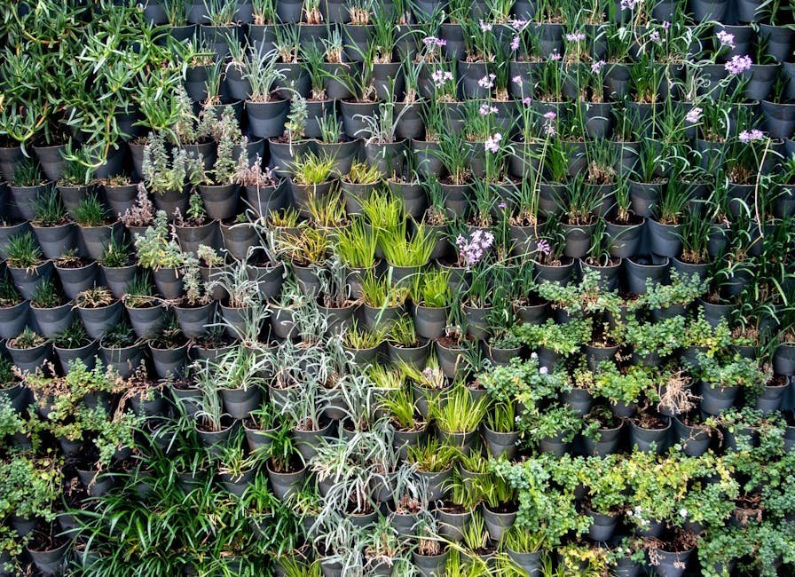 Conclusion: Growing Up, Not Out (Image Credits: Pexels)