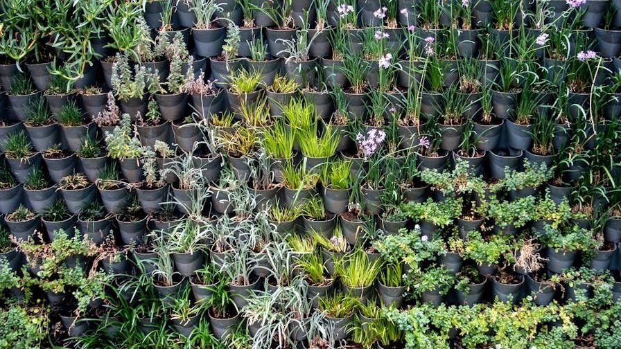 Urban Farming: The Vertical Garden That Can Feed a Family of Four in an Apartment