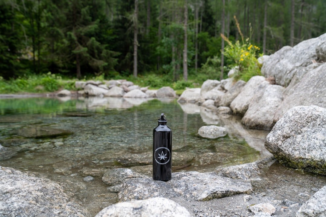 Gadget 3: The Portable Water Purification System (Image Credits: Unsplash)