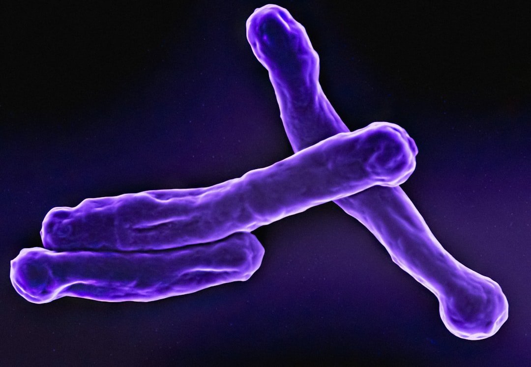 Centromeres and Telomeres: The Last Unmappable Fortresses (Image Credits: Unsplash)