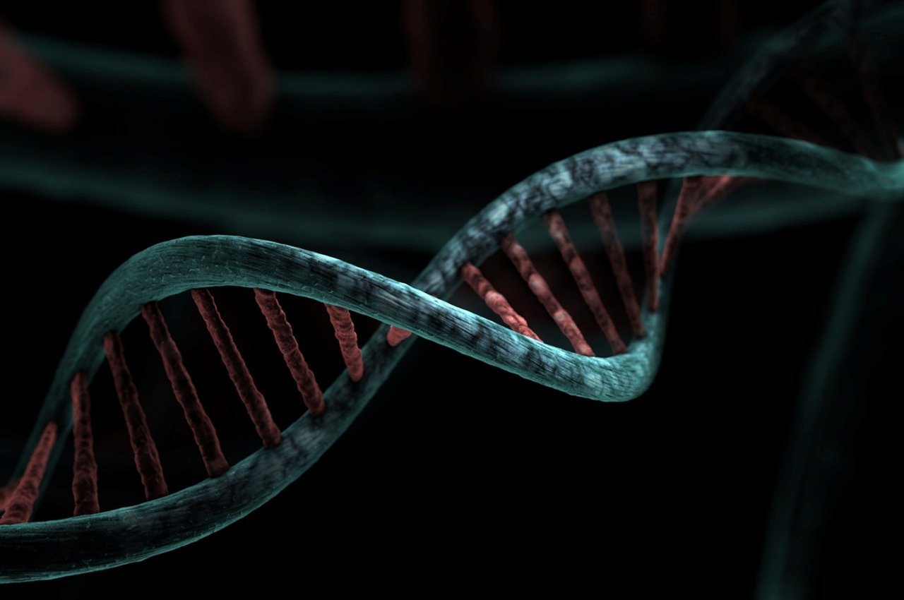 The Dark Genome and Human Disease: A Direct Connection (Image Credits: Pixabay)