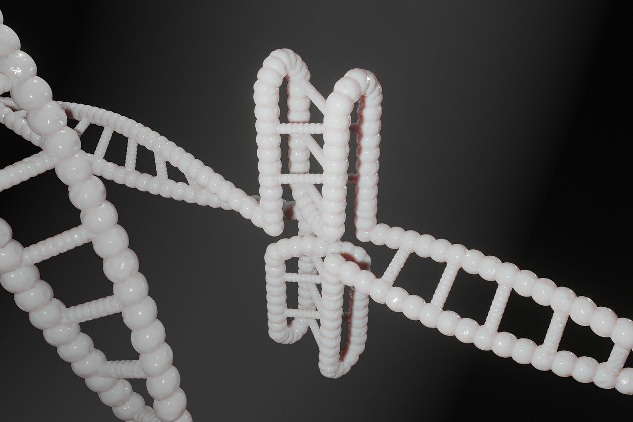 Conclusion (Image Credits: Pixabay)