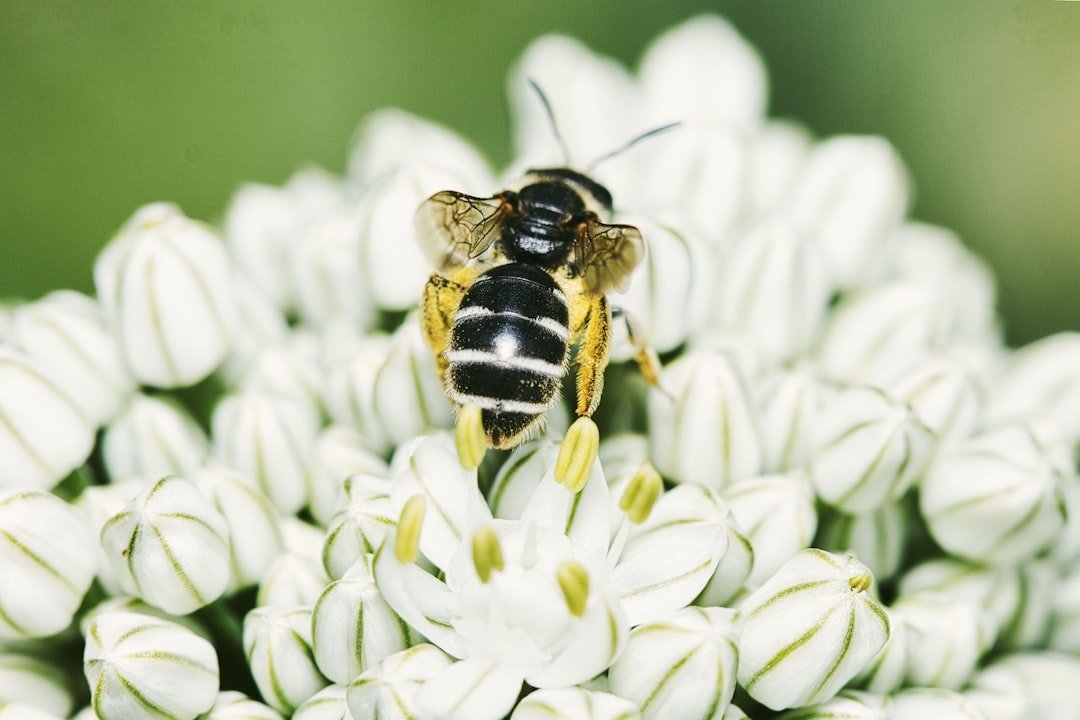 Conclusion: The Biology of a Better Bond (Image Credits: Unsplash)