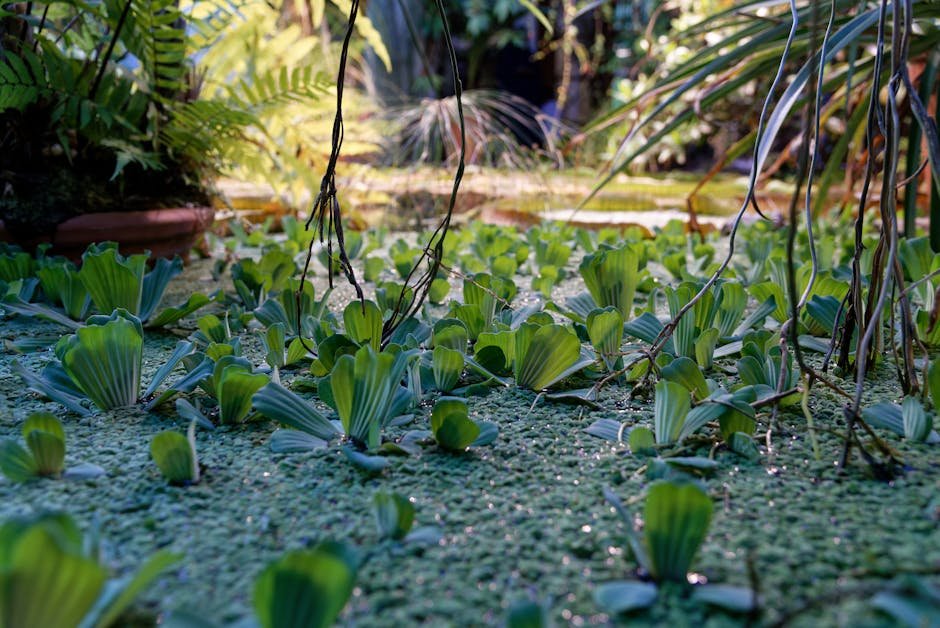 The Future of Closed Ecosystems in Space Survival (Image Credits: Pexels)