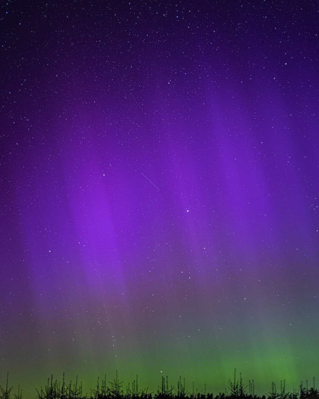 How to see the Lyrid meteor shower 2026: Where to look in the night sky