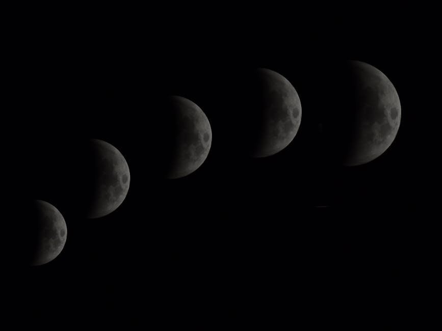 The Moon's 18.6-Year Cycle, Encoded in Earth (Image Credits: Pexels)