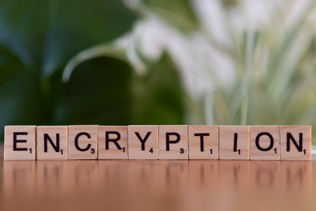 Encrypted DNS: The Next Layer of Upgrade (Image Credits: Unsplash)