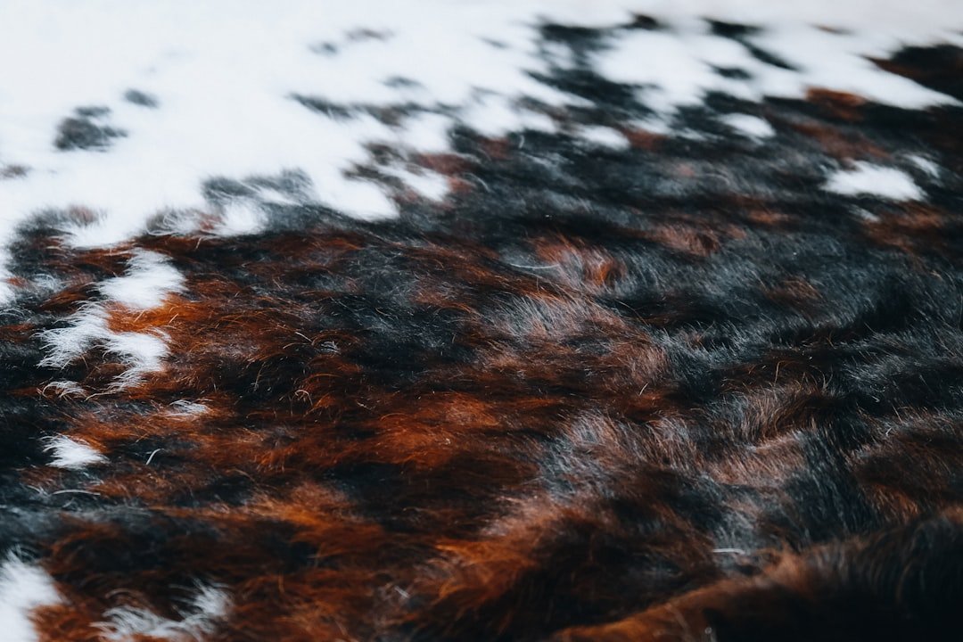 The European Demand That Fueled the Slaughter (Image Credits: Unsplash)