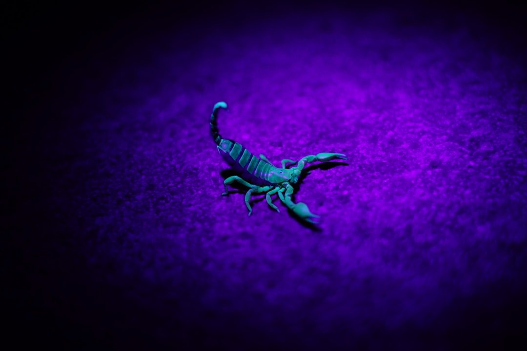 Scorpio and the Weight of What They Sense (Image Credits: Unsplash)