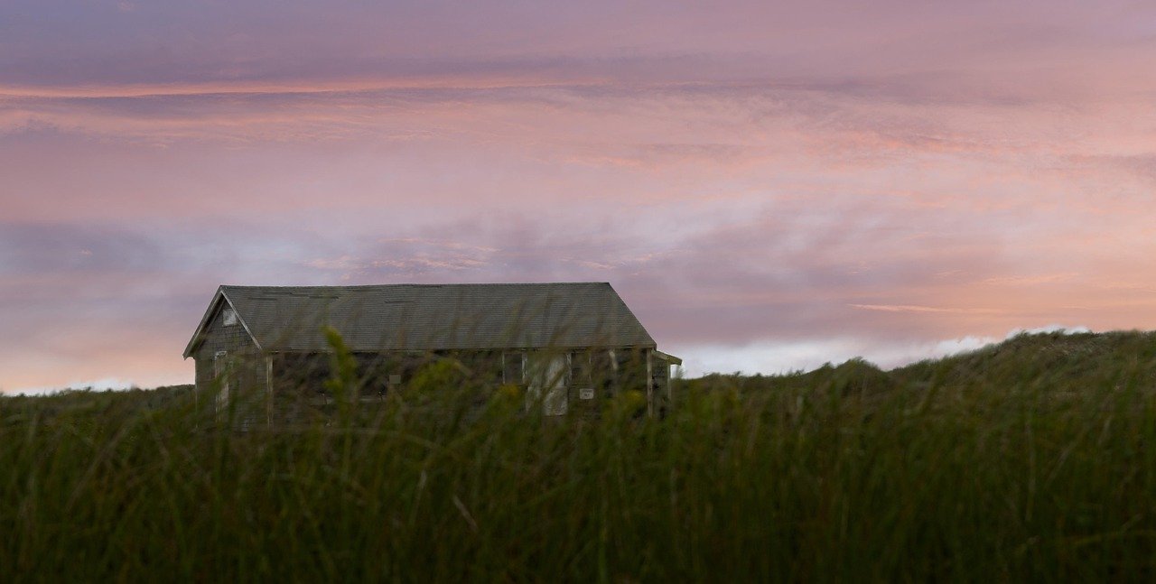 The Absolute Universe Twist: Martha Wayne as a Talon (Image Credits: Pixabay)