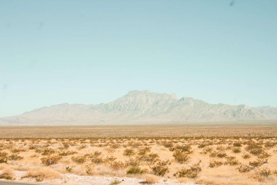 A Desert Chosen for Its Emptiness (Image Credits: Unsplash)