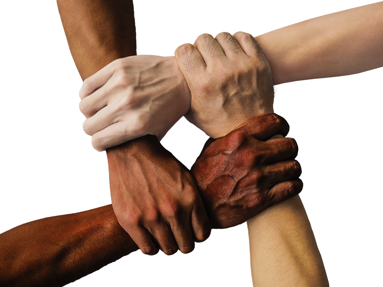 The "Giddy Multitude": A Cross-Racial Alliance (Image Credits: Pixabay)