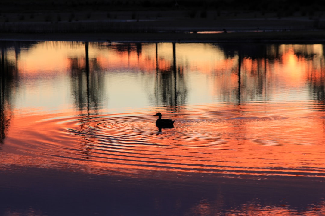Paths to Untangle Worth from Work (Image Credits: Unsplash)