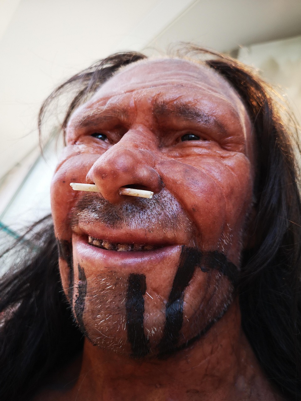 The Neanderthal Baseline: Our Most Familiar Ancient Relatives (Image Credits: Pixabay)