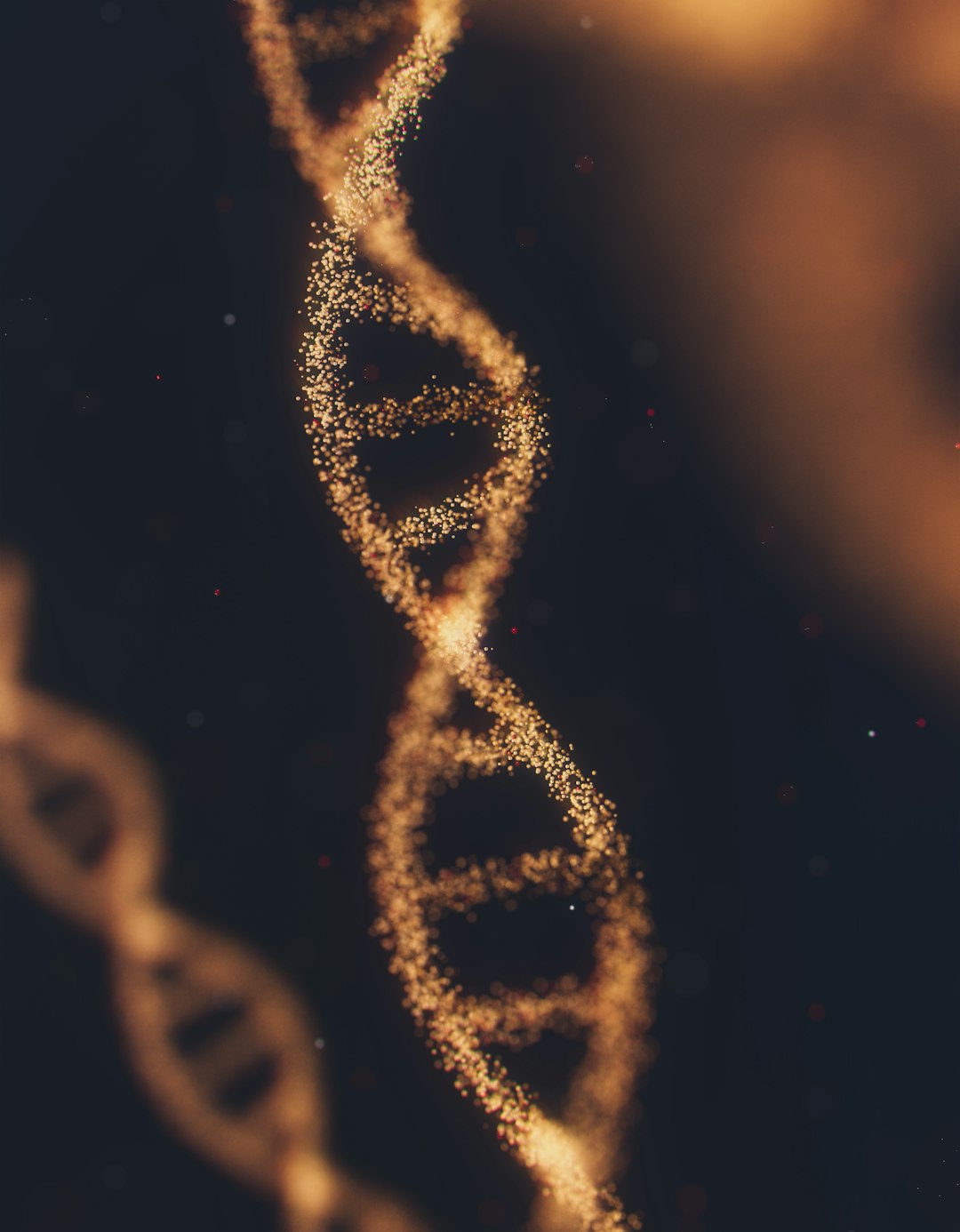 The Survival Gifts: When Ancient DNA Helped Us Thrive (Image Credits: Unsplash)