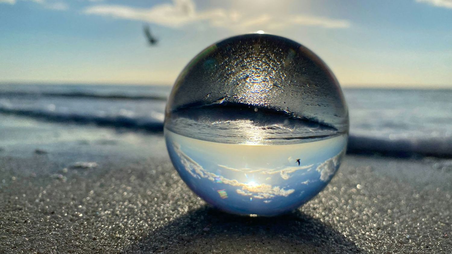 Scientists finally solve mystery of strange “golden orb” found 2 miles deep