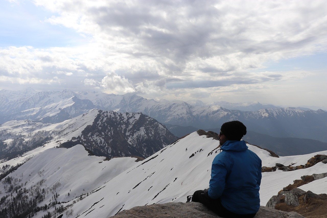 The Four Core Traits That Define It (Image Credits: Pixabay)