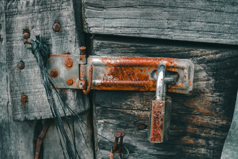 The Invisible Shield: How the Protective Film Actually Forms (Image Credits: Pexels)