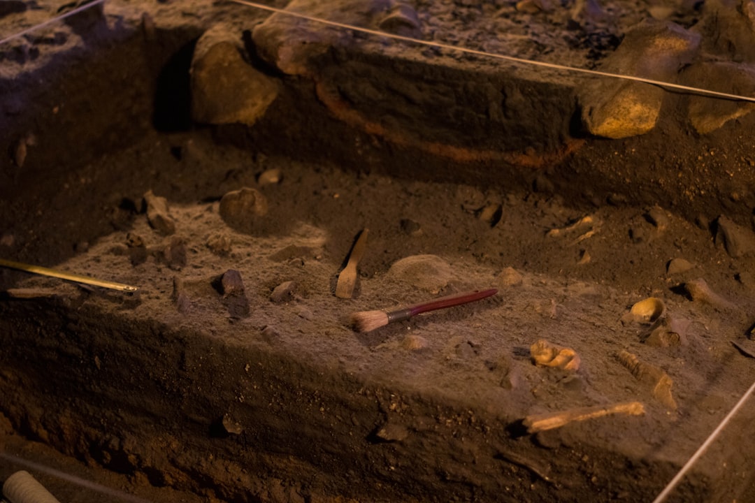 Sterile Test Pits and the Problem of Negative Evidence (Image Credits: Unsplash)