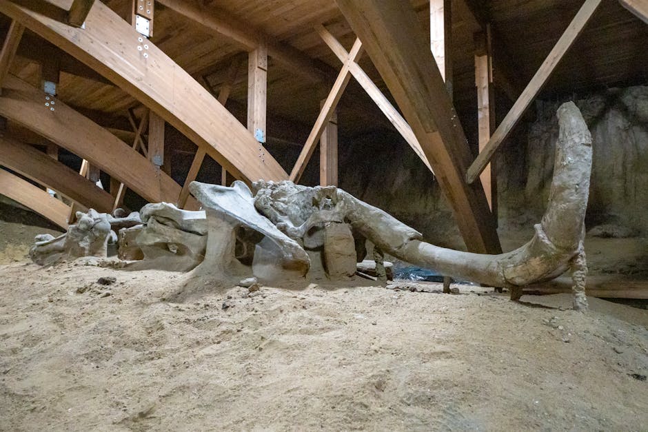 The West Virginia Mounds and Giant Skeleton Reports (Image Credits: Pexels)