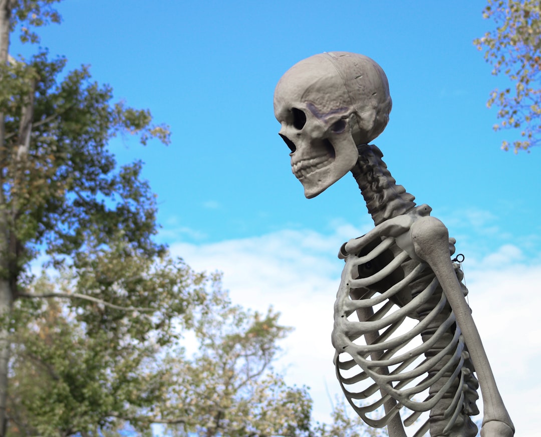 The Role of Misidentified Animal Bones (Image Credits: Unsplash)