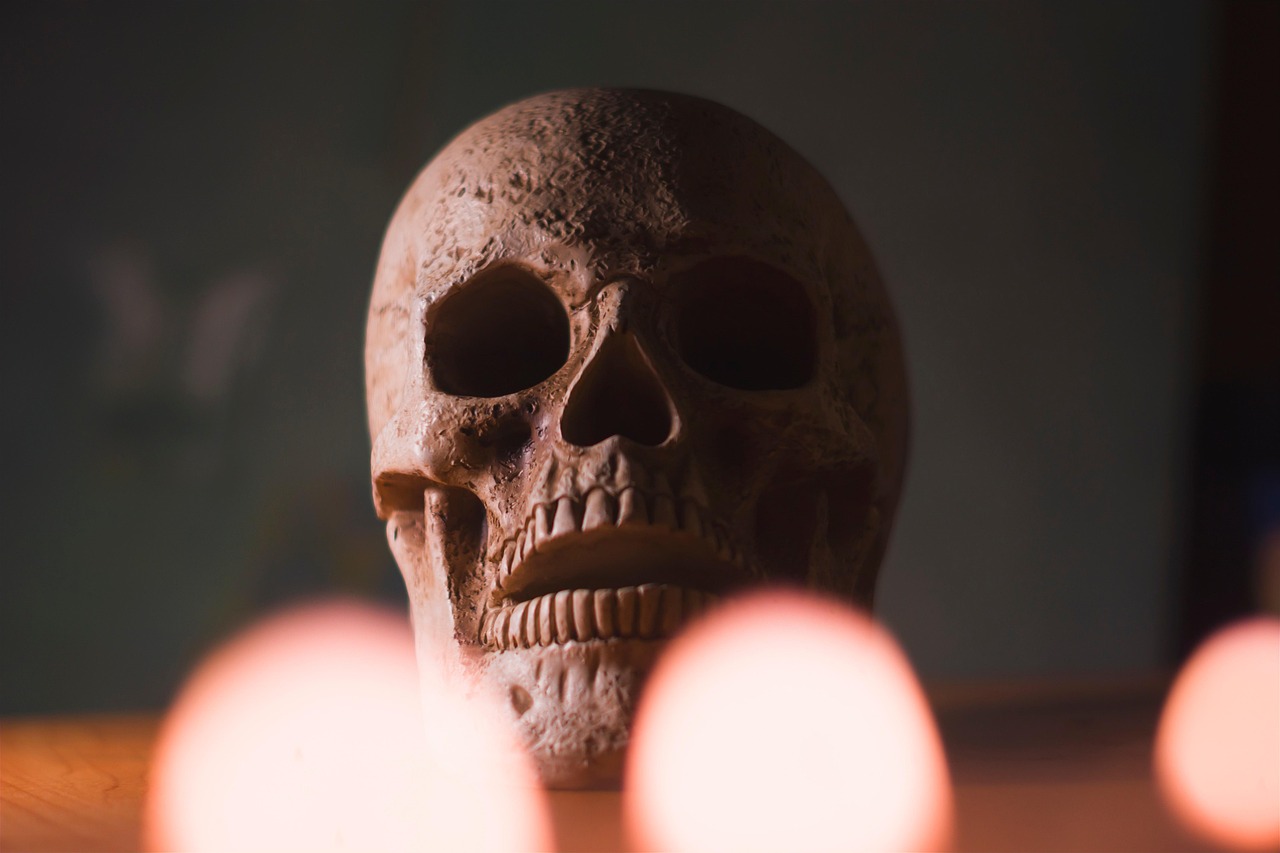 The Smithsonian Conspiracy Theory: What Fact-Checkers Found (Image Credits: Pixabay)