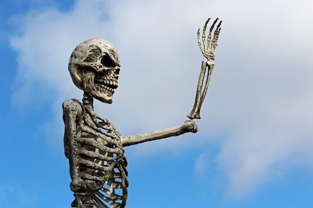 The "Titan Bone" Label: Internet Age Mythology (Image Credits: Unsplash)